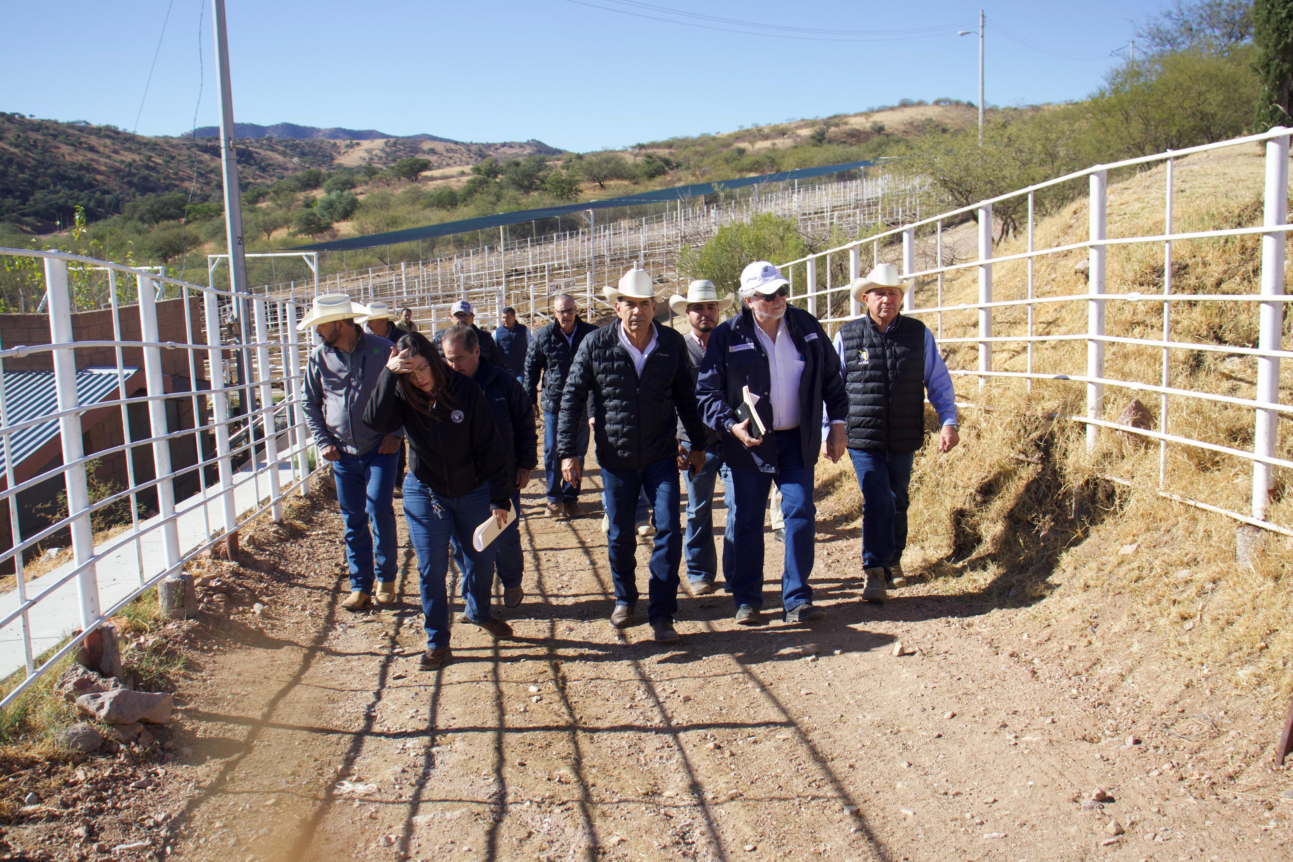 Bienestar ganadero 1