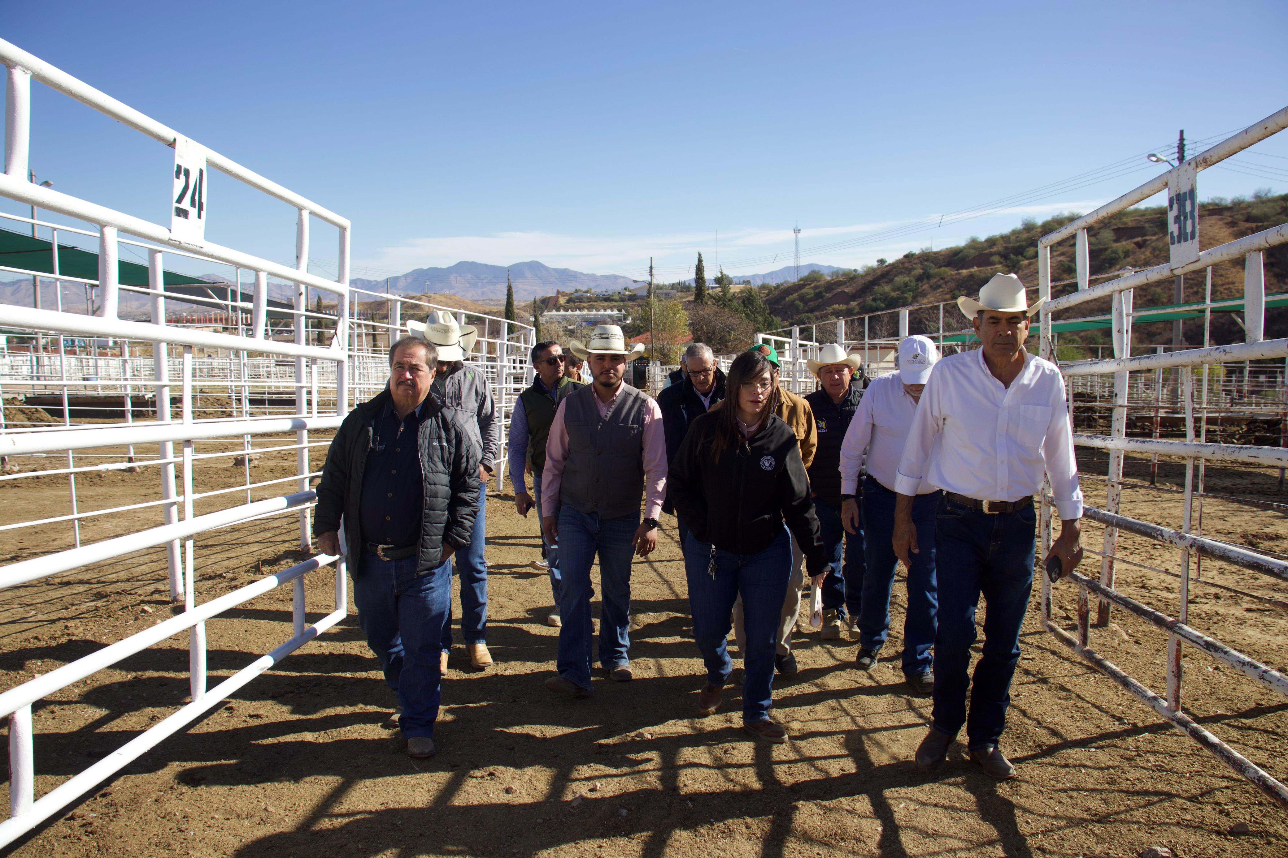 Bienestar ganadero 6