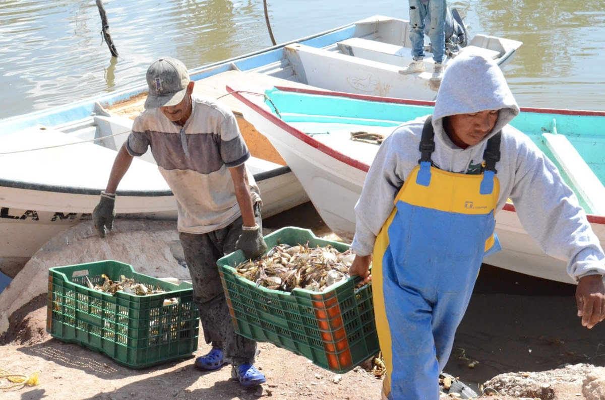 Producción pesquera 1
