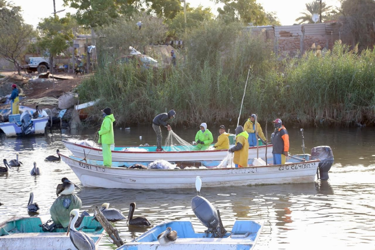 Producción pesquera 5