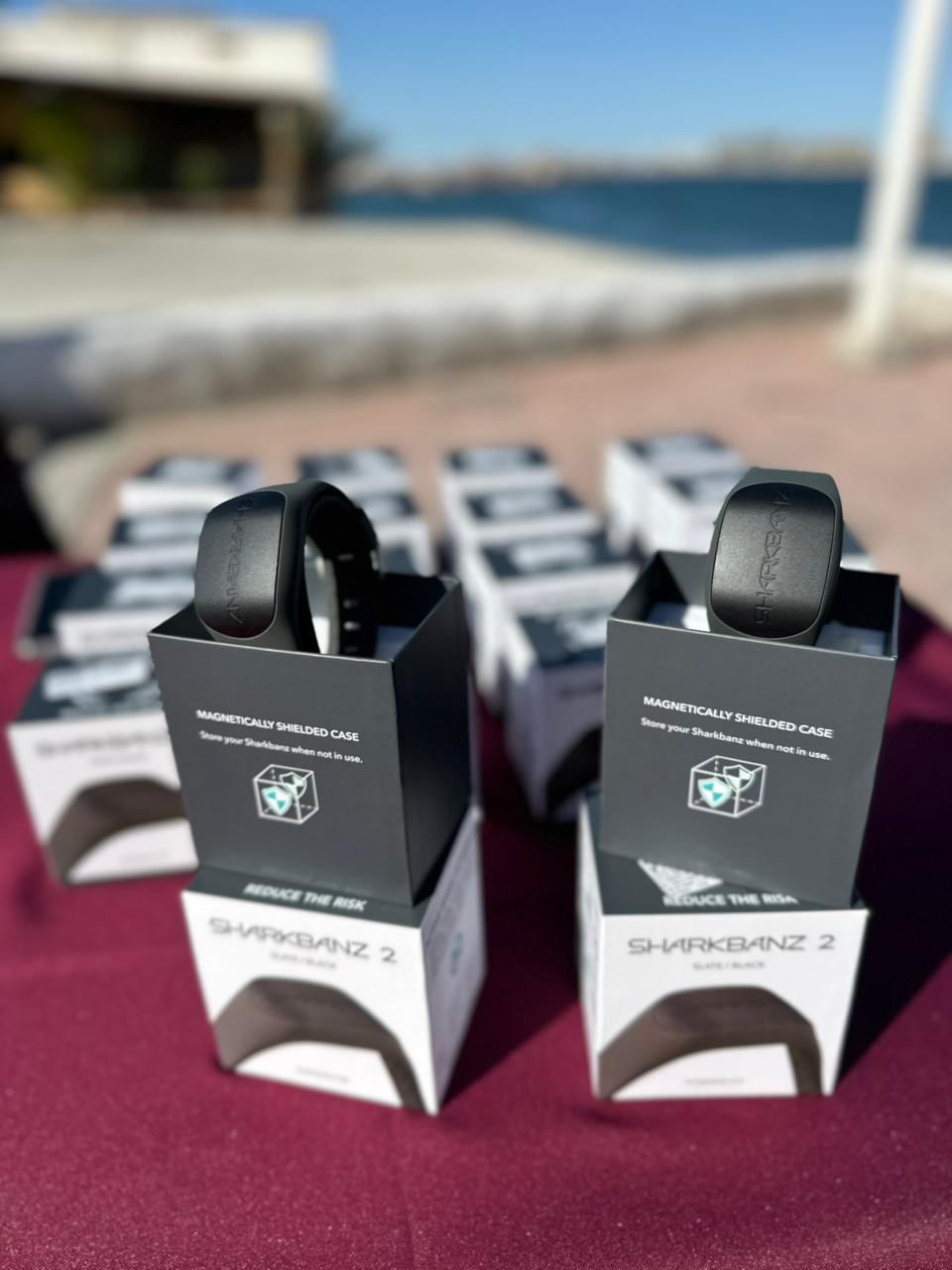 bb539ebc 1a3b 4f7b 8fc1 ee7acf0818d7