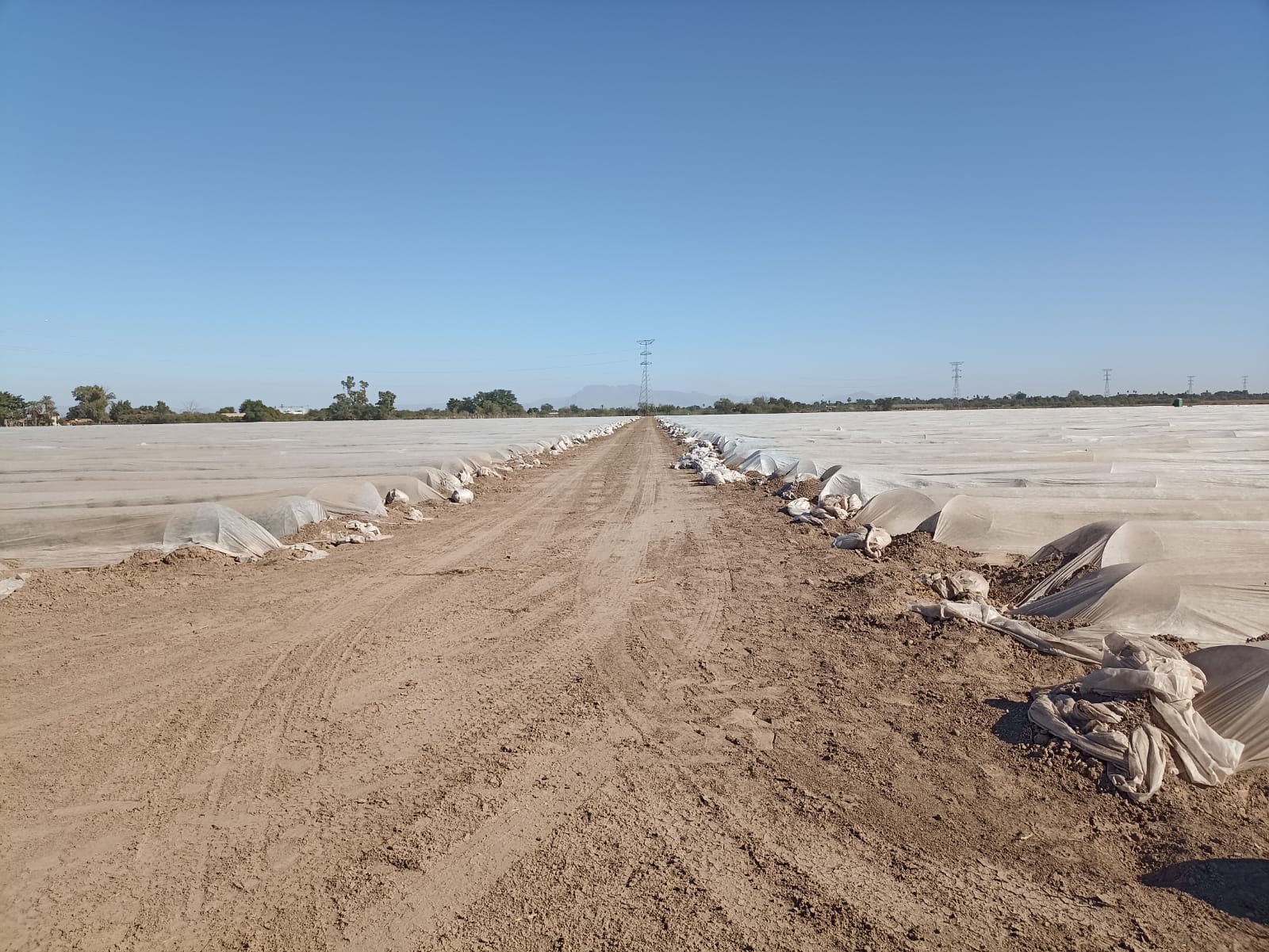 recomendaciones preventivas a productores por llegada de Segunda Tormenta Invernal 3